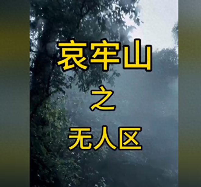 后续！被调查后发文道歉账号已搜不到凯发k8国际苗疆大祭司独闯哀牢山(图20)